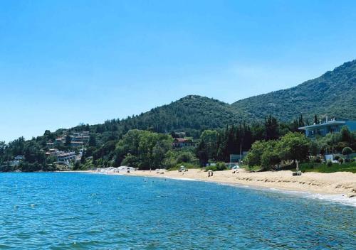 beach-0551-c-1280x900